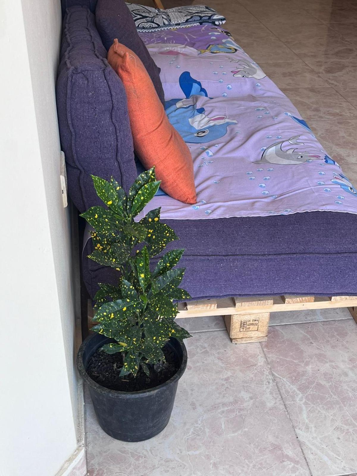 Bed In Raheem Guest House More Than Accommodation 开罗 外观 照片